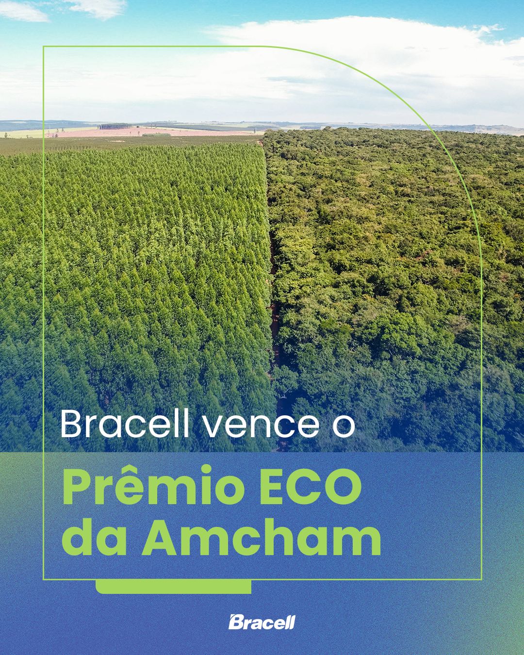 Bracell ad