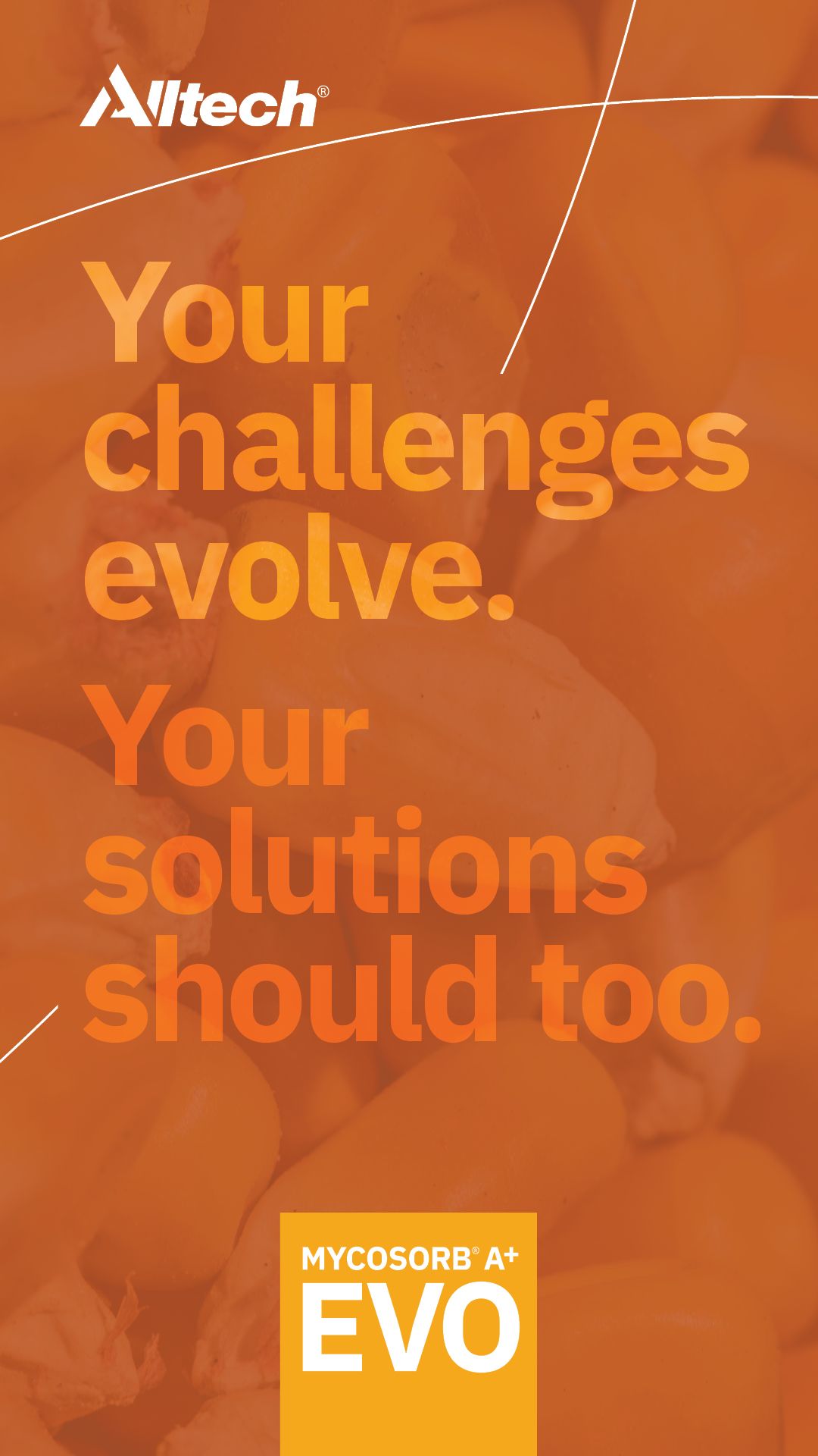 Alltech ad