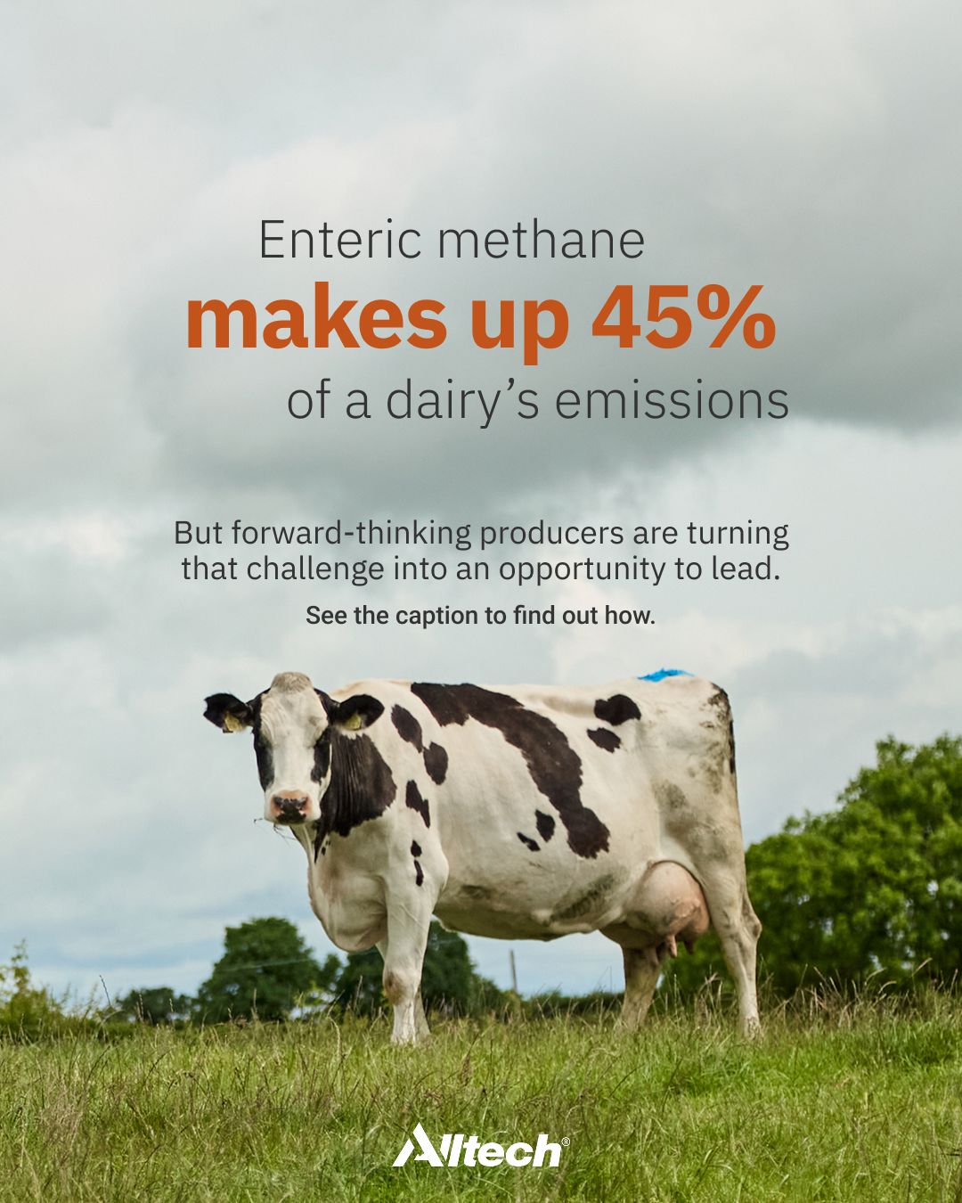 Alltech ad