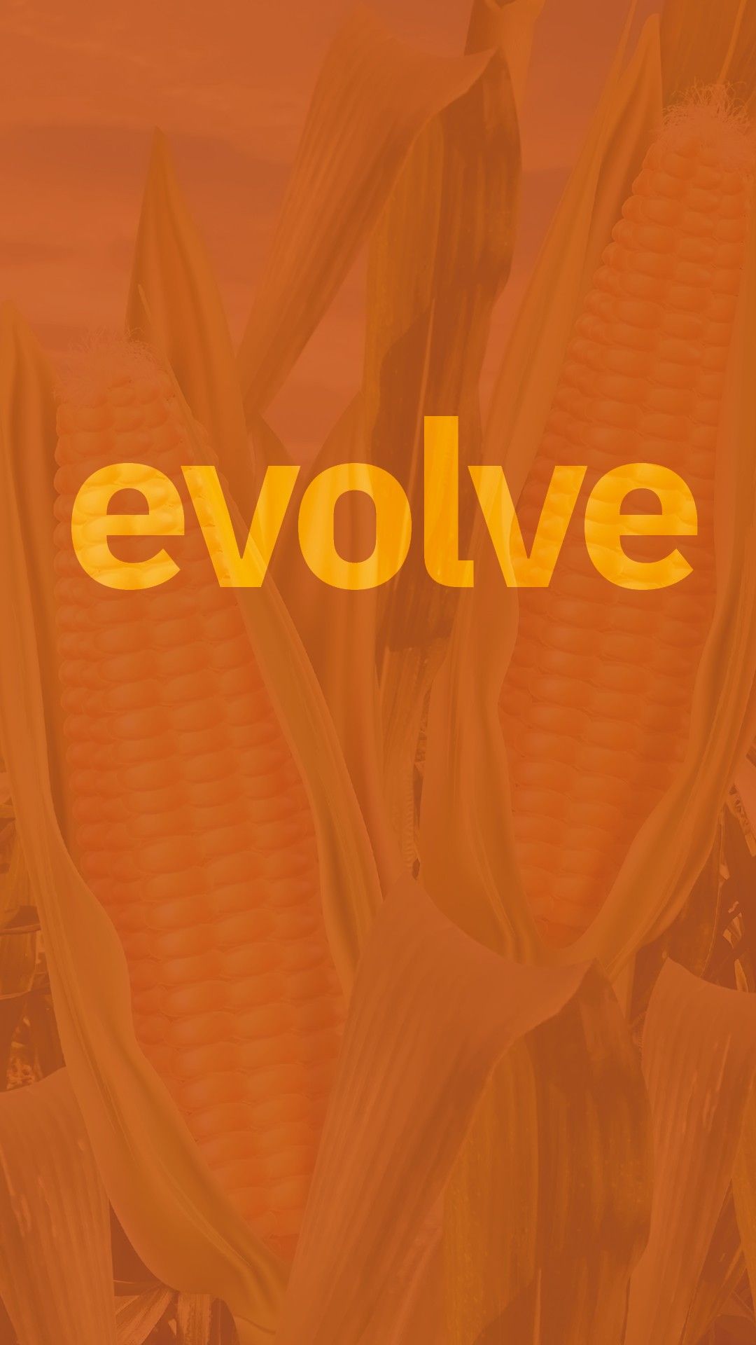 Alltech ad
