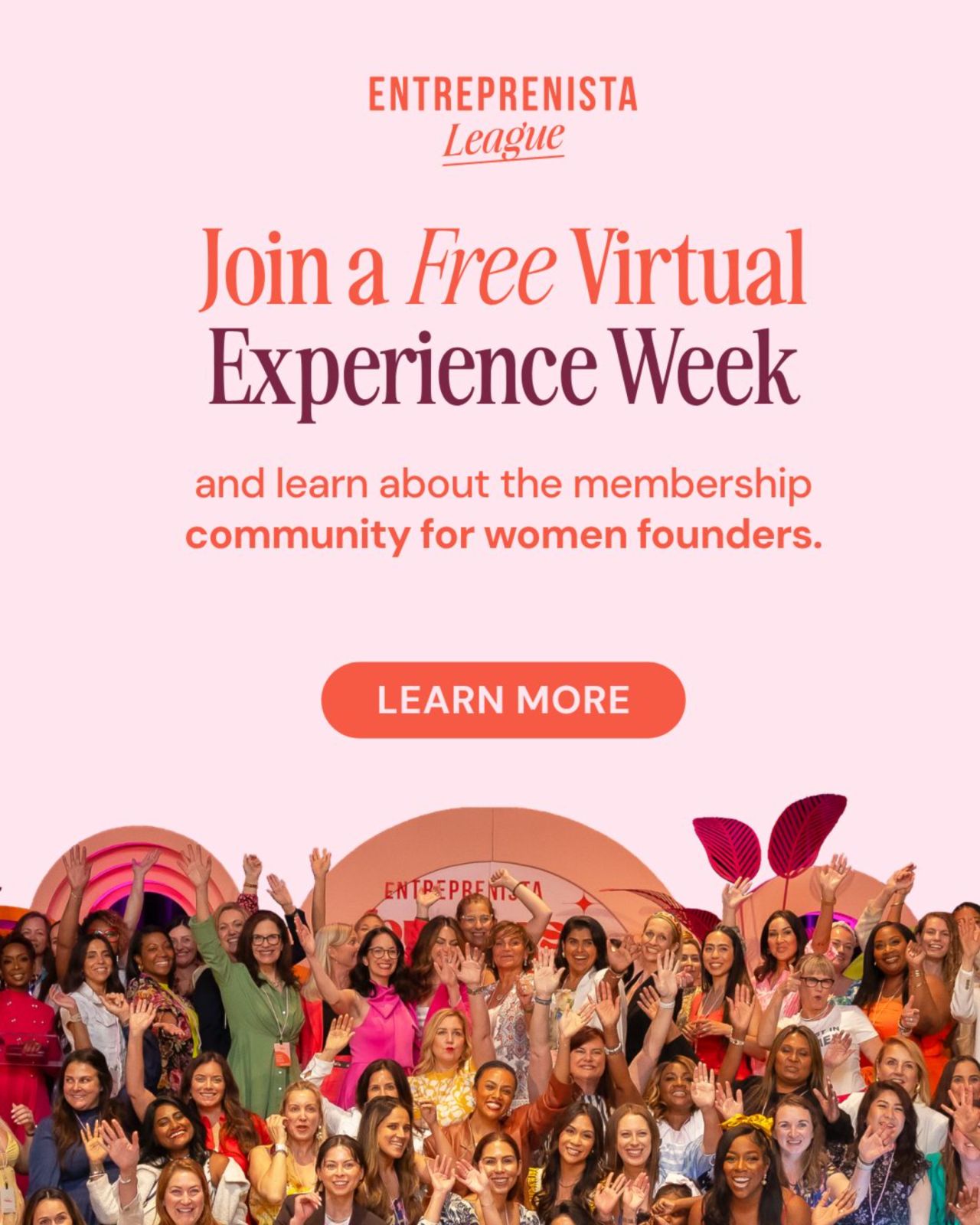 Entreprenista ad