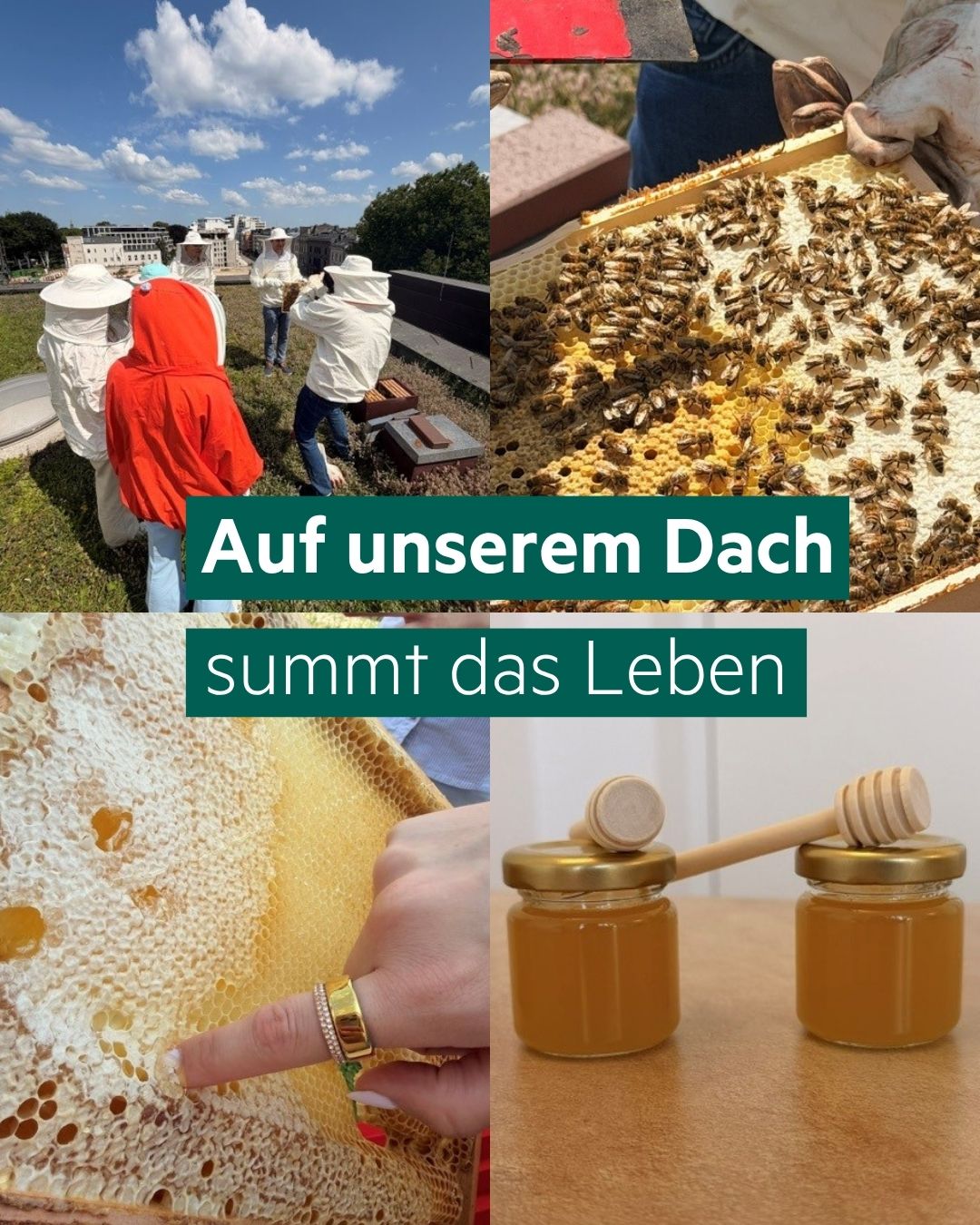 HanseMerkur ad