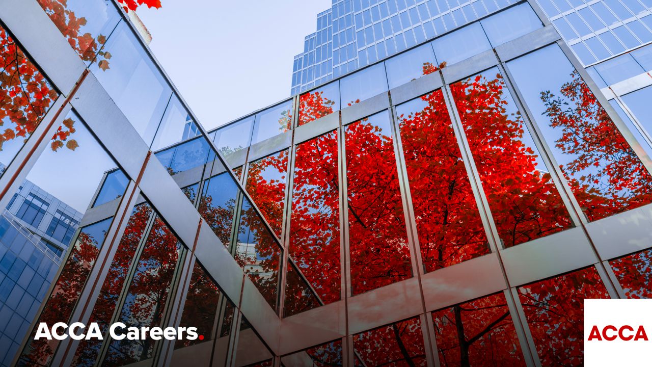 ACCA Careers ad