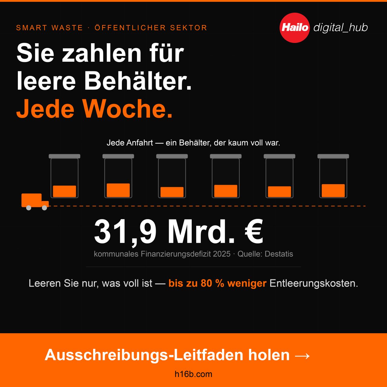 Hailo Digital Hub ad