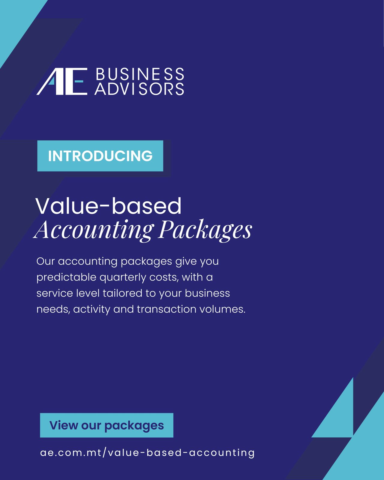 AE Business Advisors ad