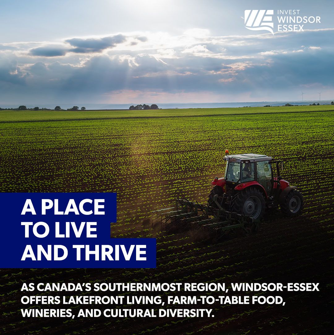 Invest WindsorEssex ad