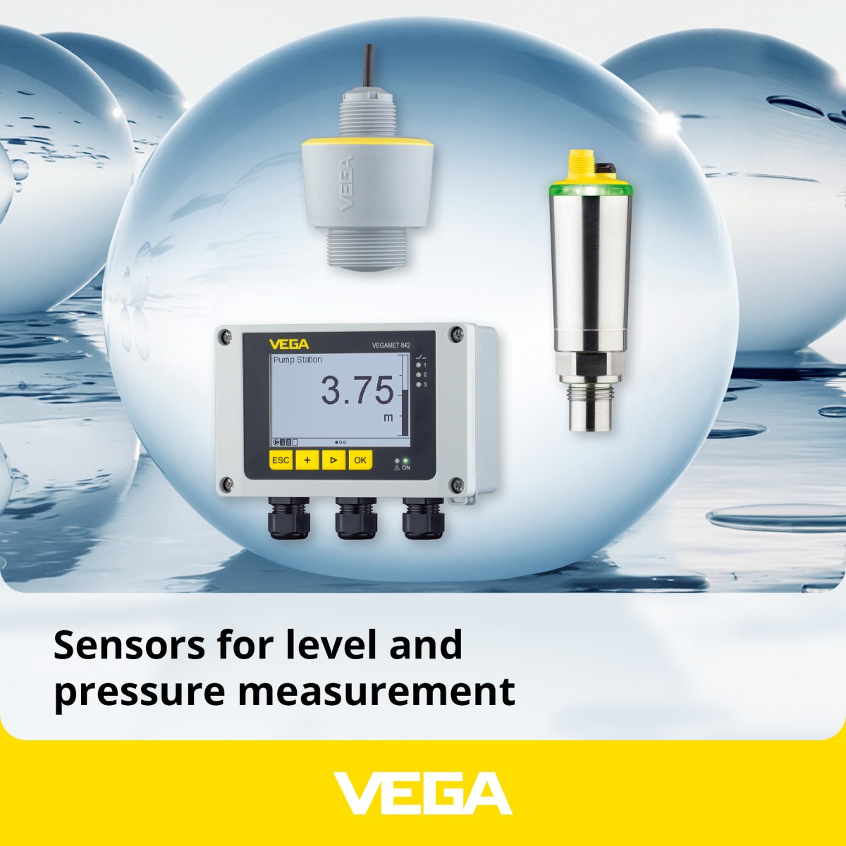 VEGA Americas, Inc. ad