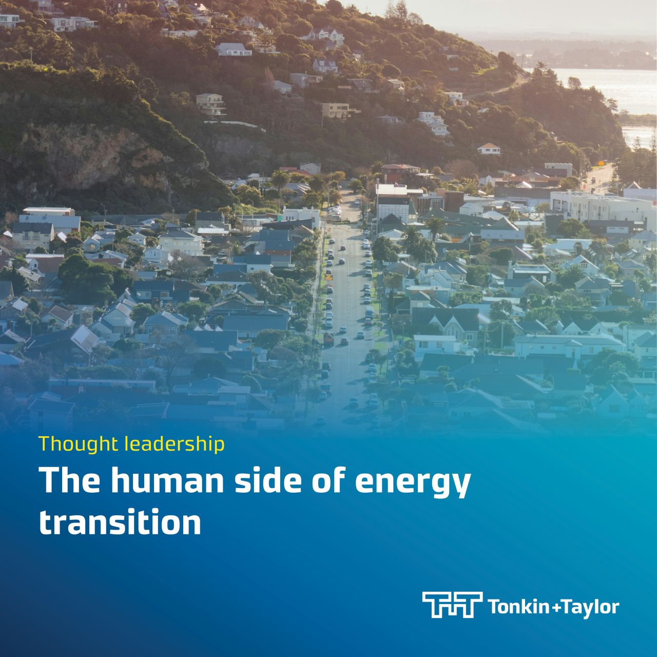 Tonkin + Taylor ad