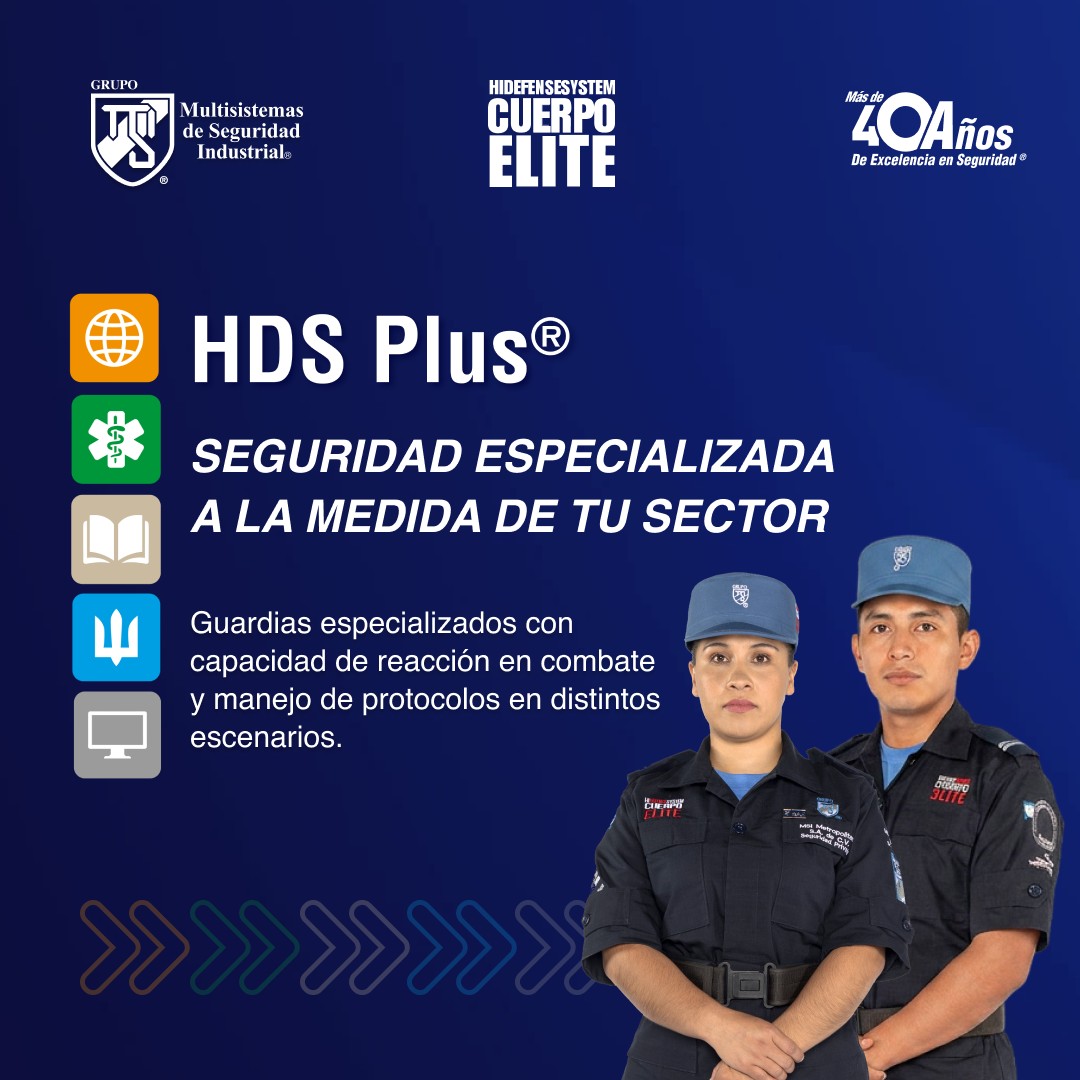 Grupo Multisistemas de Seguridad Industrial ad