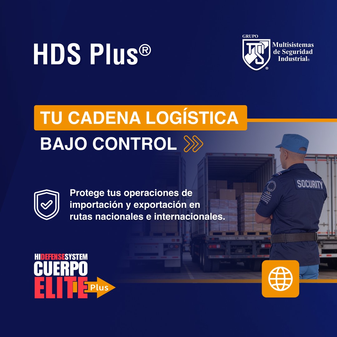 Grupo Multisistemas de Seguridad Industrial ad