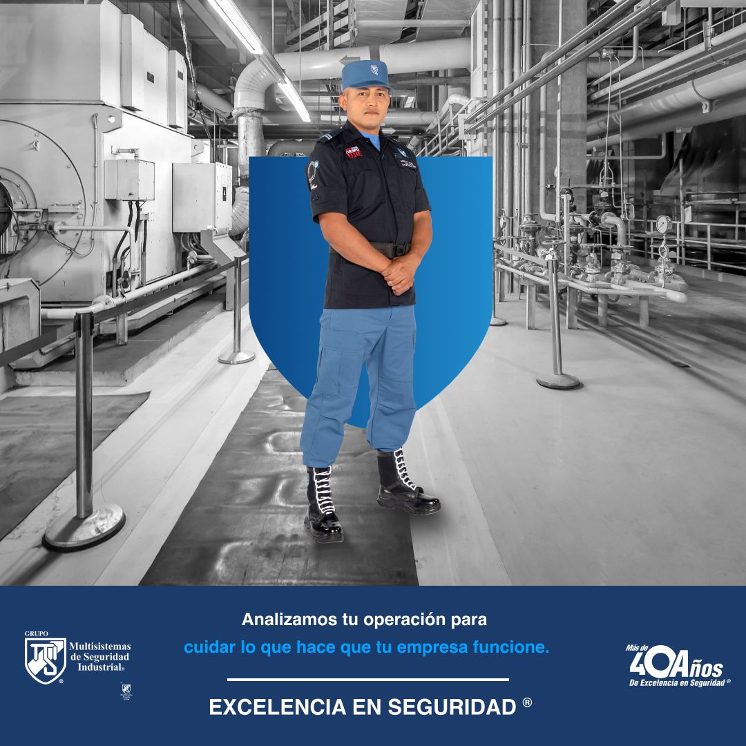Grupo Multisistemas de Seguridad Industrial ad
