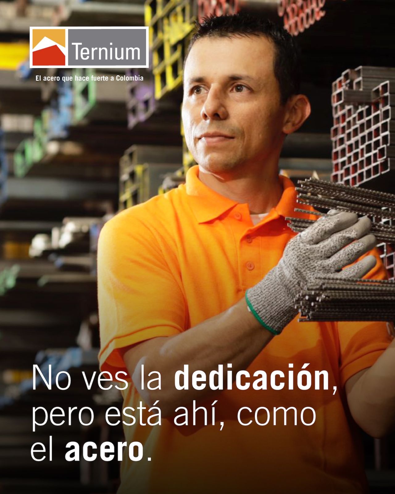 Ternium ad