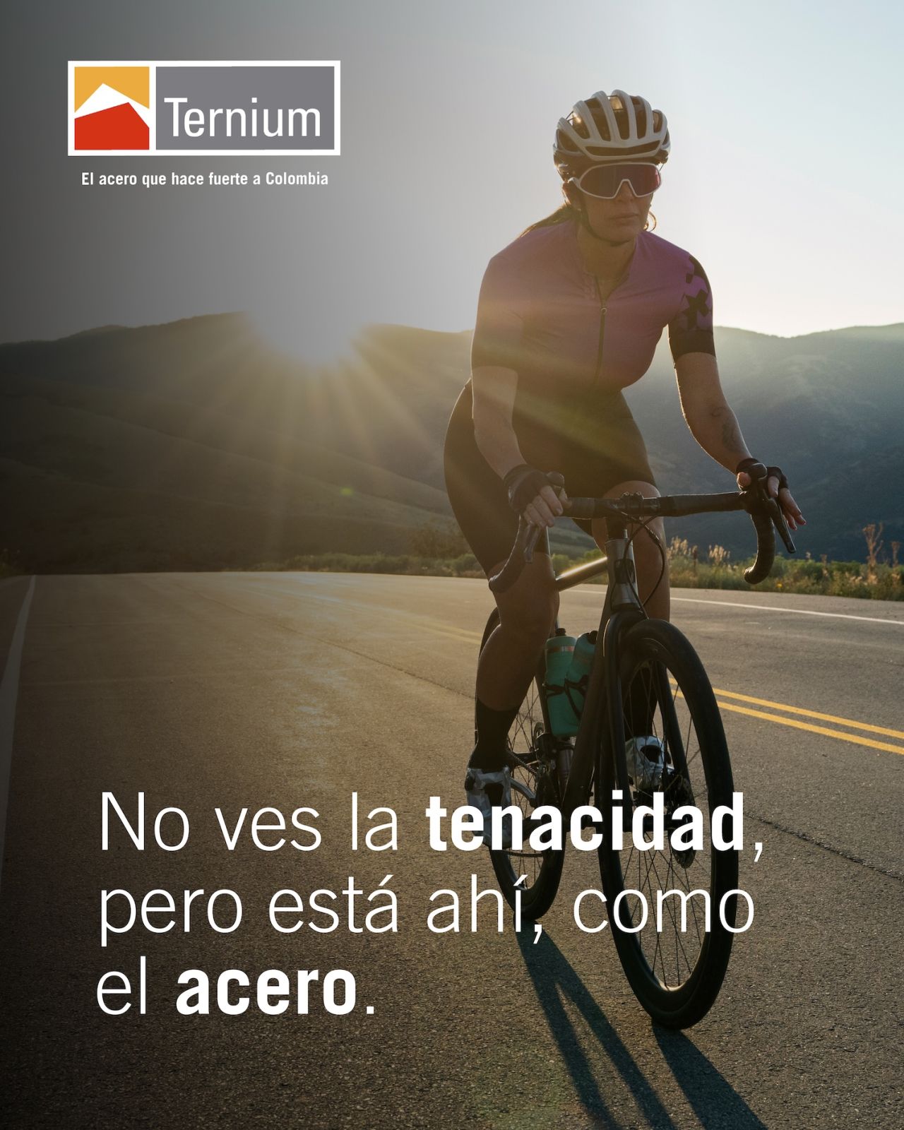 Ternium ad