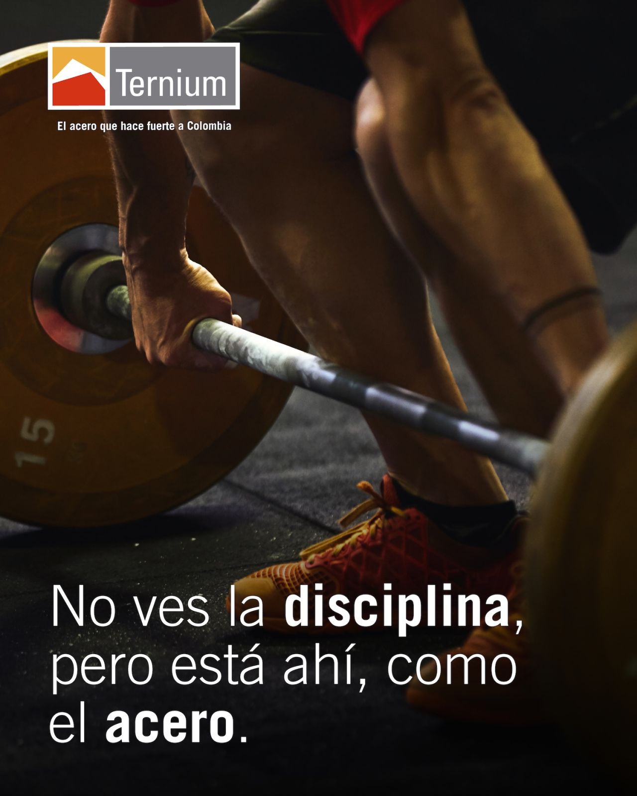Ternium ad