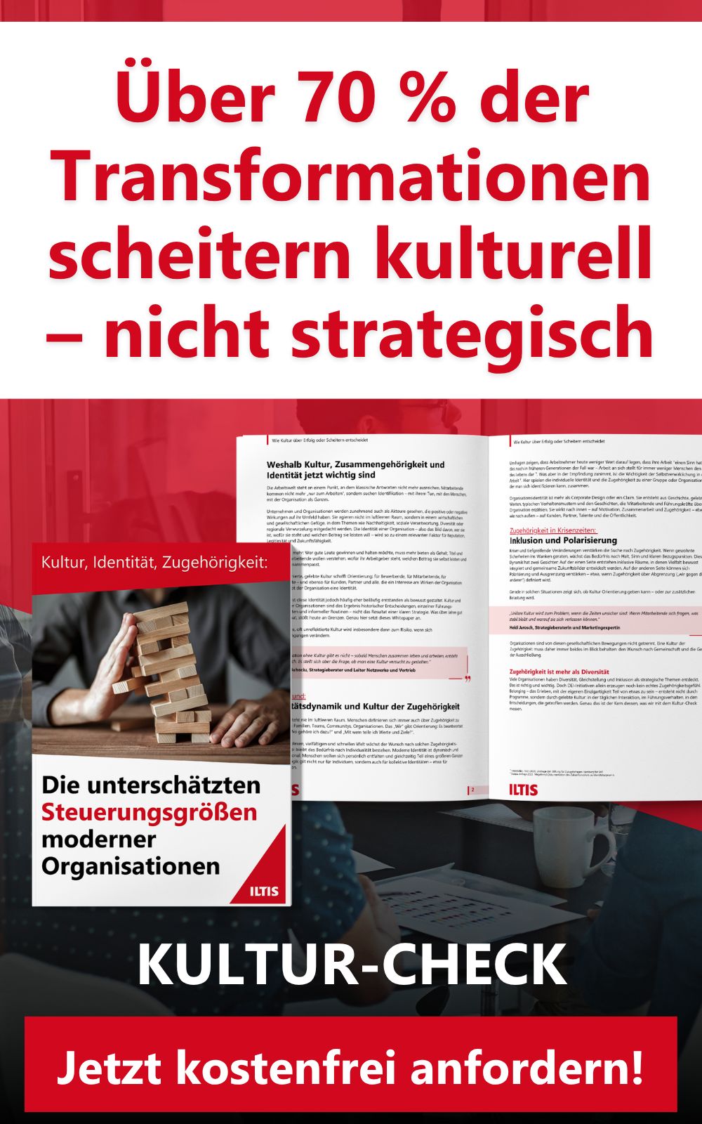 ILTIS - Damit aus Strategien Handeln wird ad