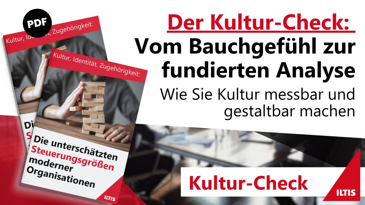 ILTIS - Damit aus Strategien Handeln wird ad