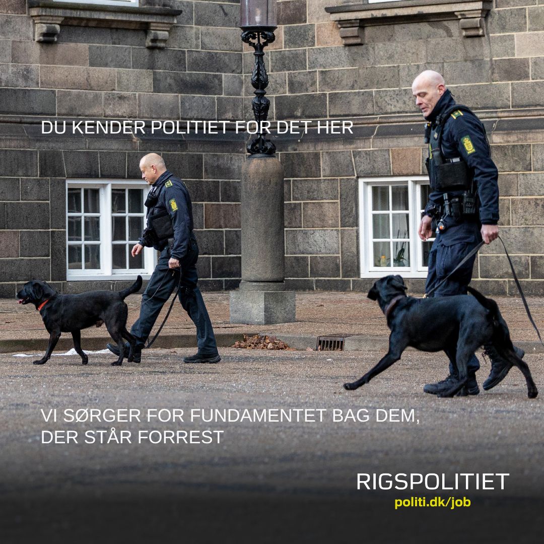 Politi ad