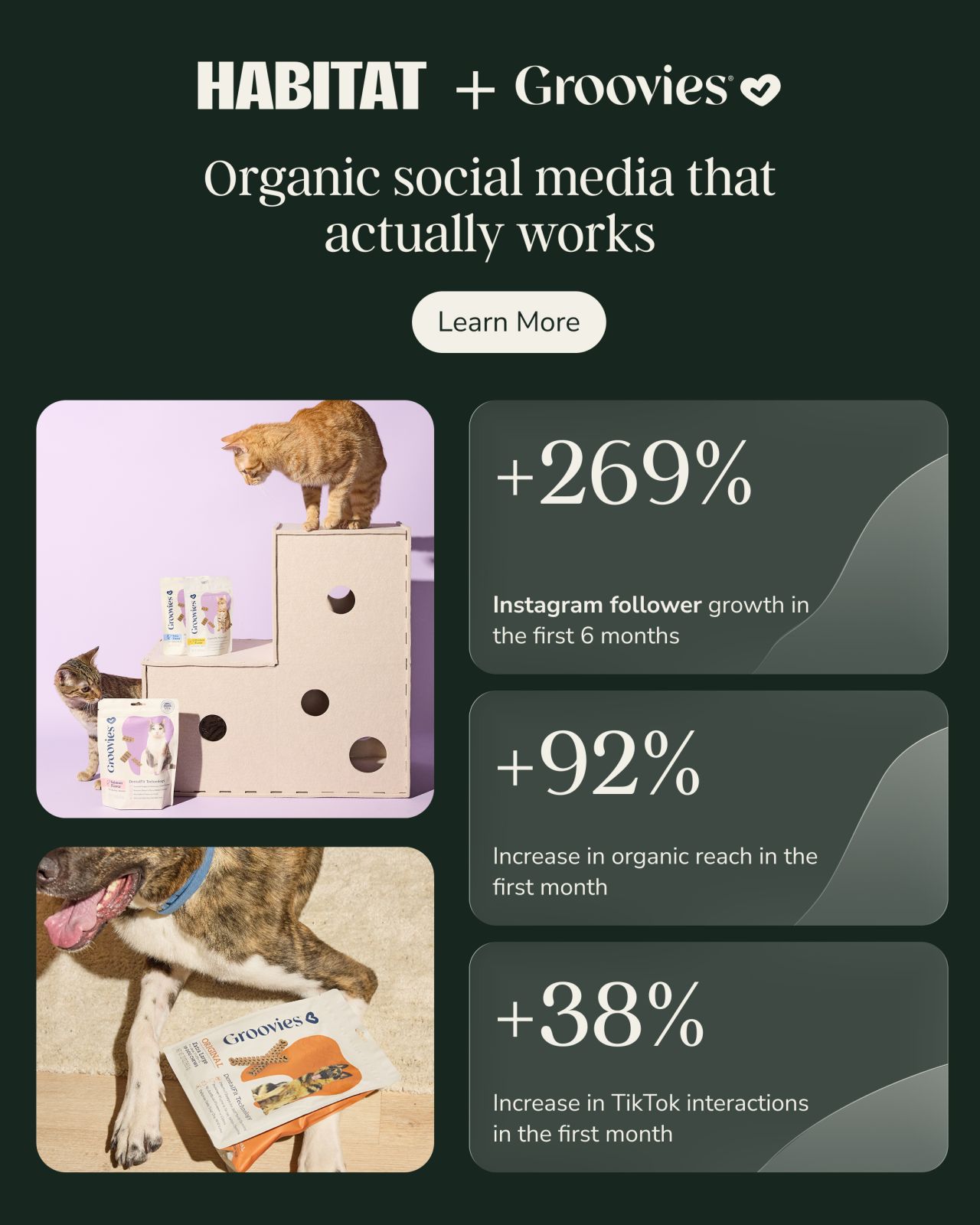 Agency Habitat ad