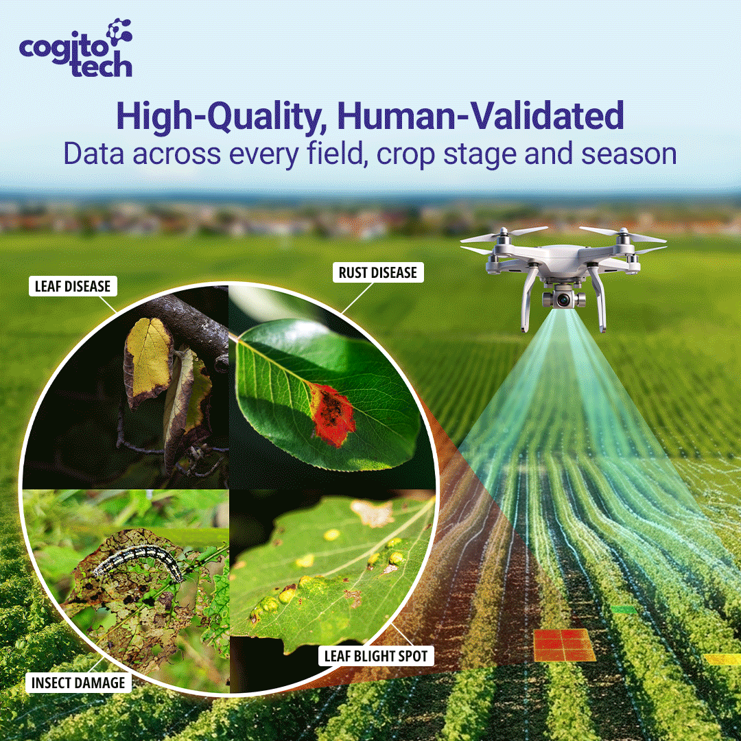 Cogito Tech ad