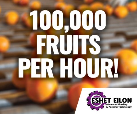 ESHET EILON ad