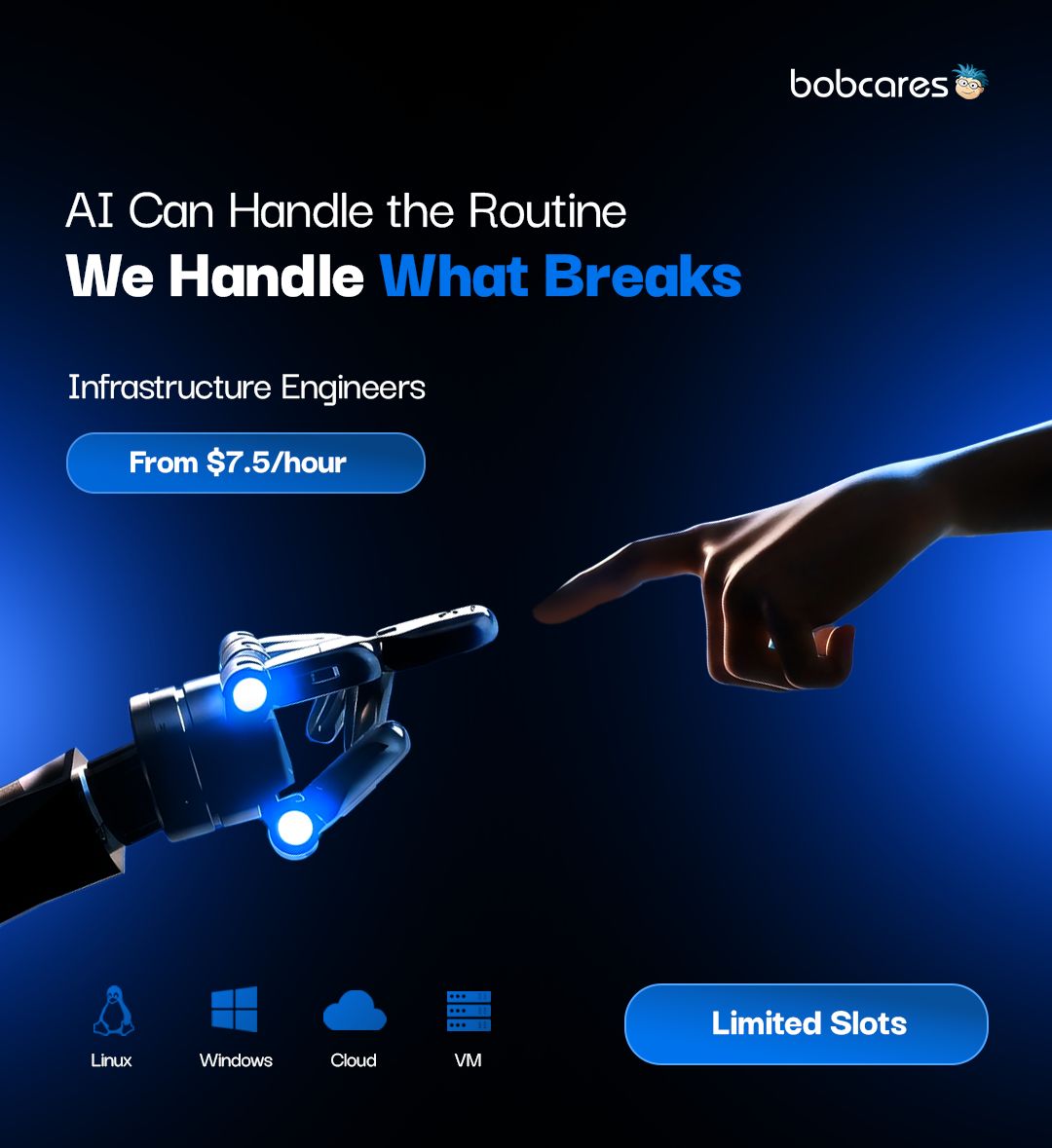 Bobcares ad