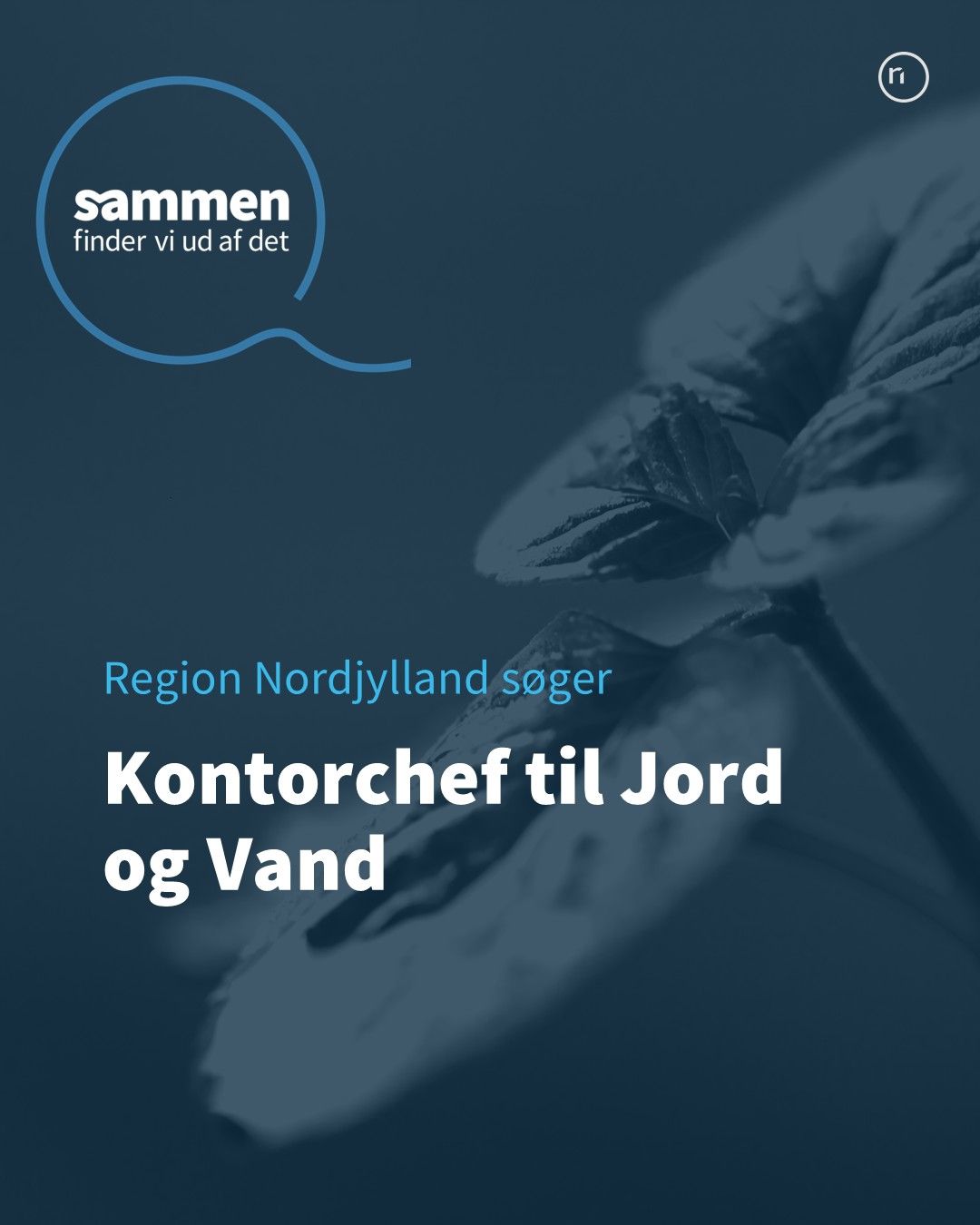 Region Nordjylland ad