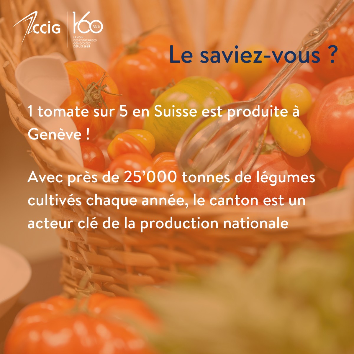 CCIG - Chambre de commerce, d'industrie et des services de Genève ad