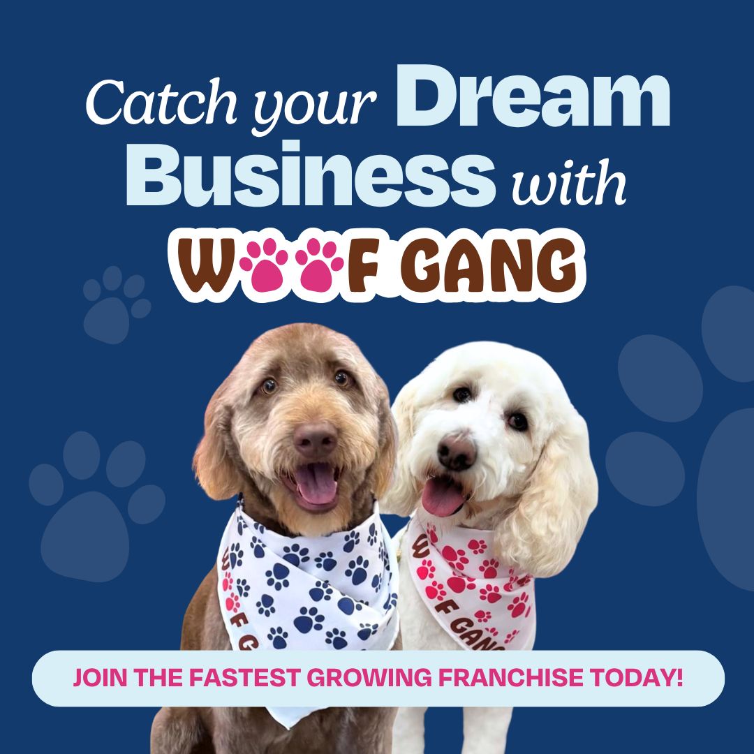 Woof Gang Bakery & Grooming ad