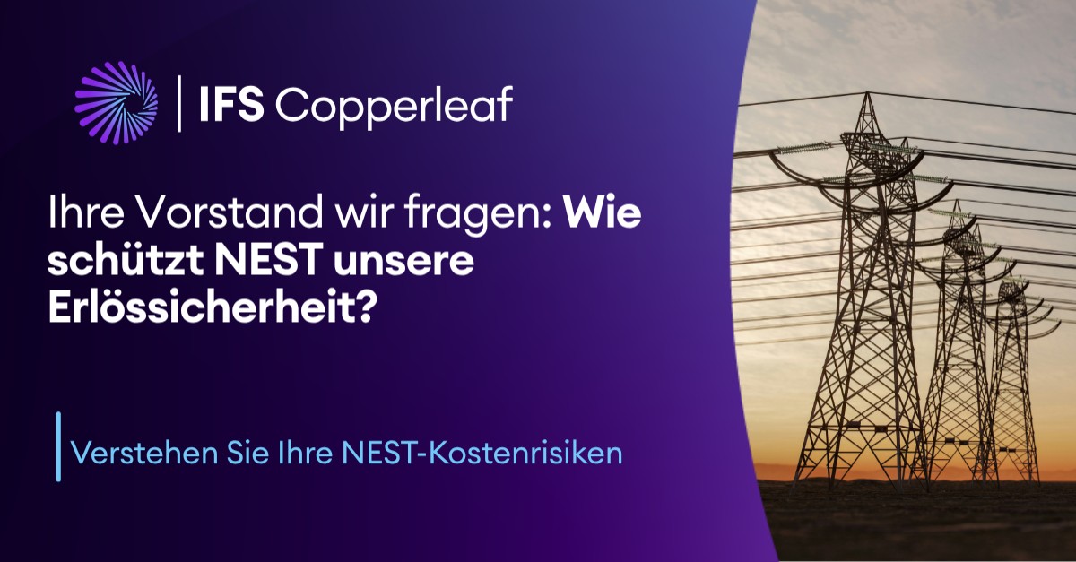 IFS Copperleaf ad