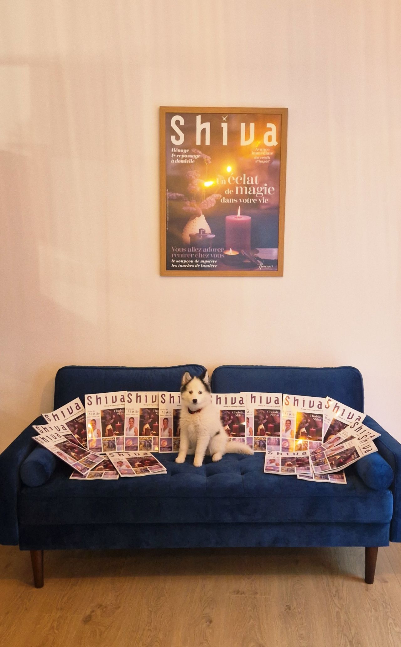 SHIVA ad