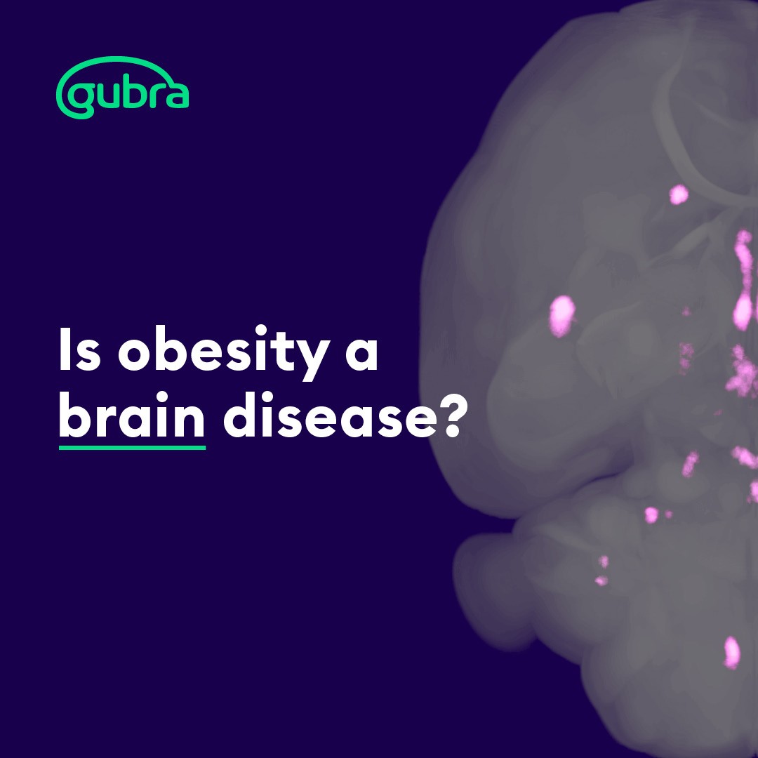 Gubra ad