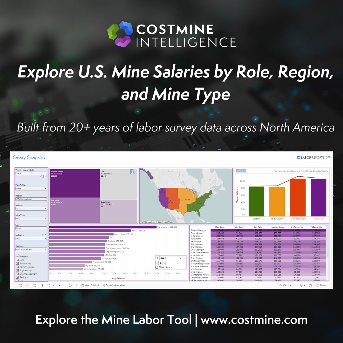 Costmine Intelligence ad