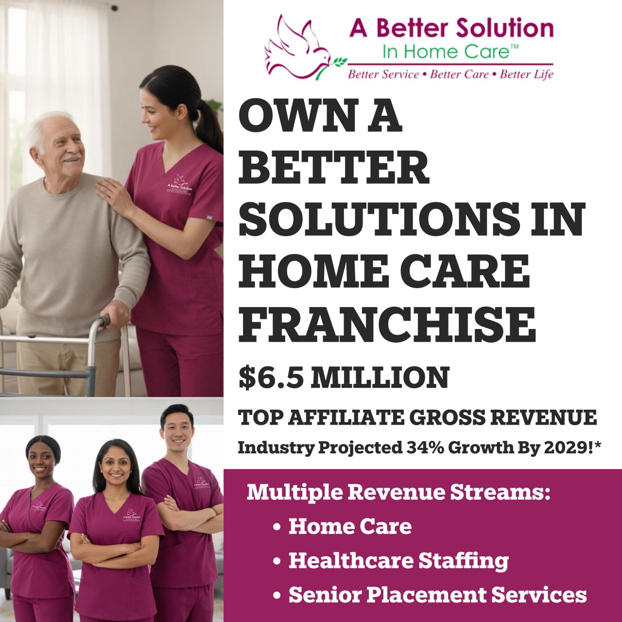 A Better Solution In Home Care Franchise ad