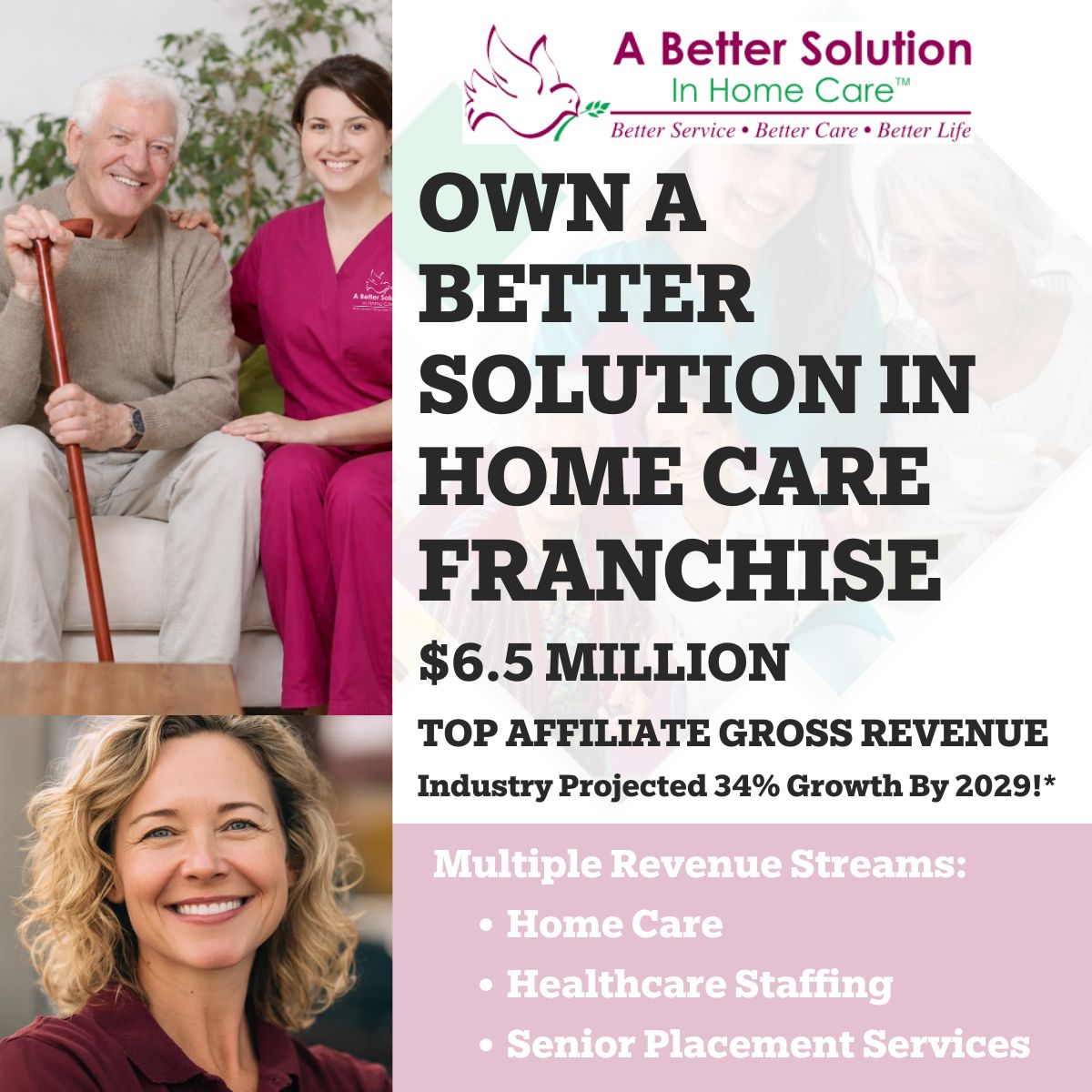 A Better Solution In Home Care Franchise ad