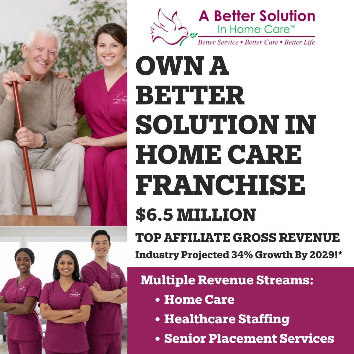 A Better Solution In Home Care Franchise ad