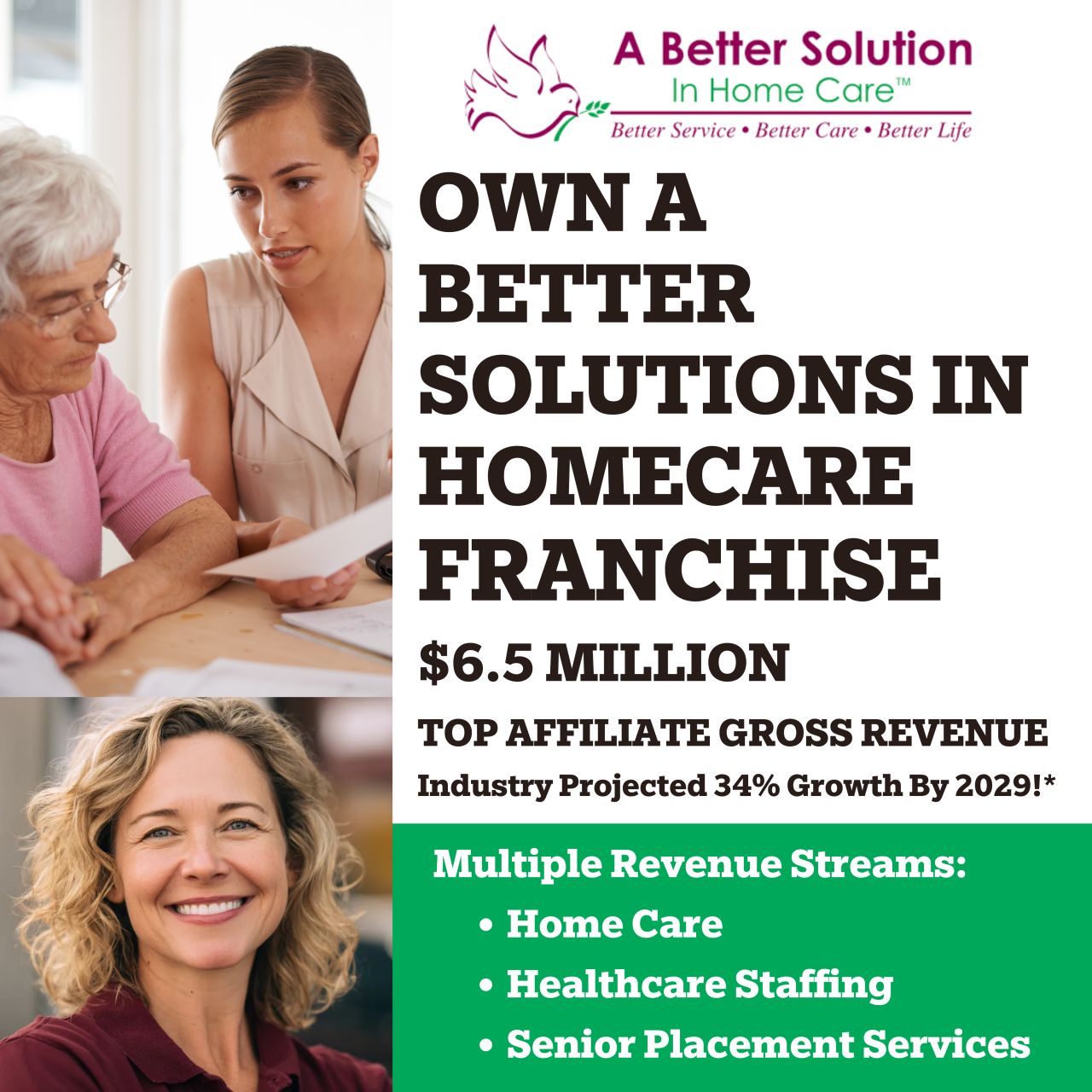 A Better Solution In Home Care Franchise ad