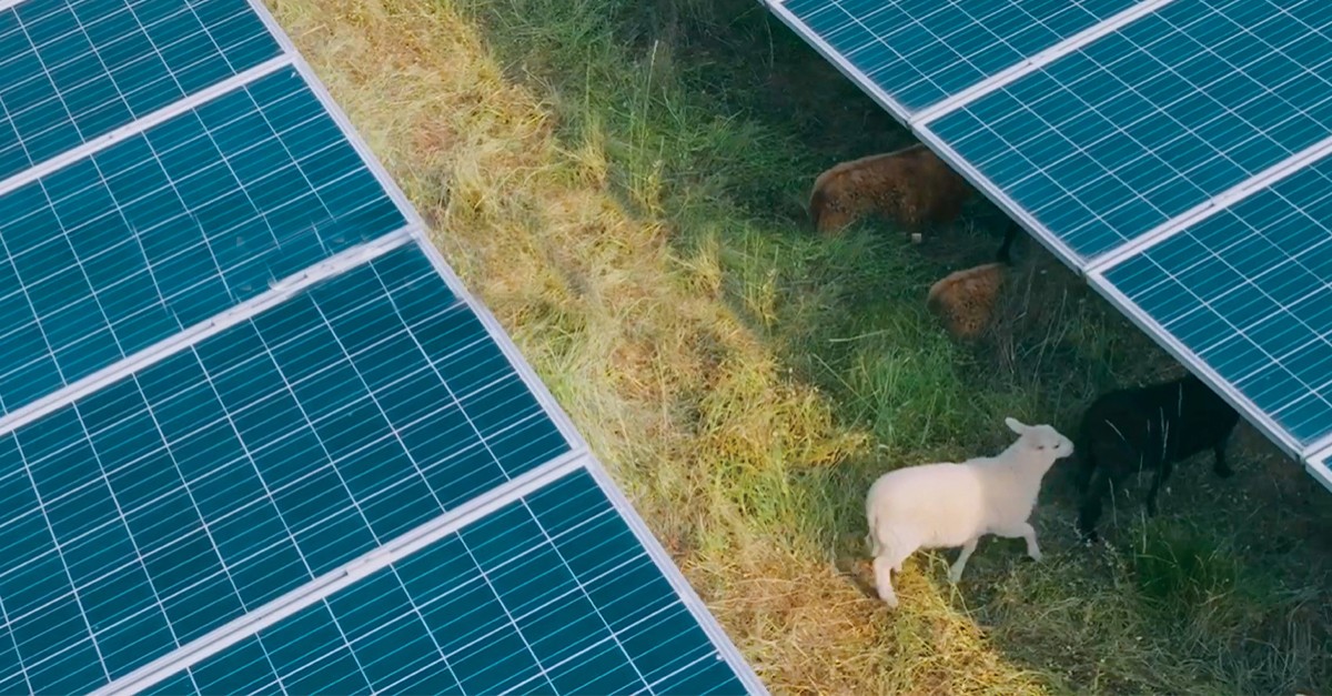 LG&E and KU Energy LLC ad