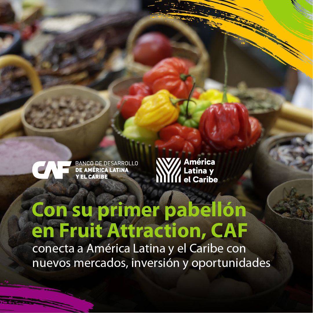 CAF -banco de desarrollo de América Latina y el Caribe- ad