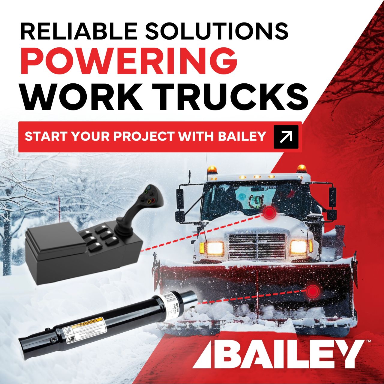 Bailey International ad