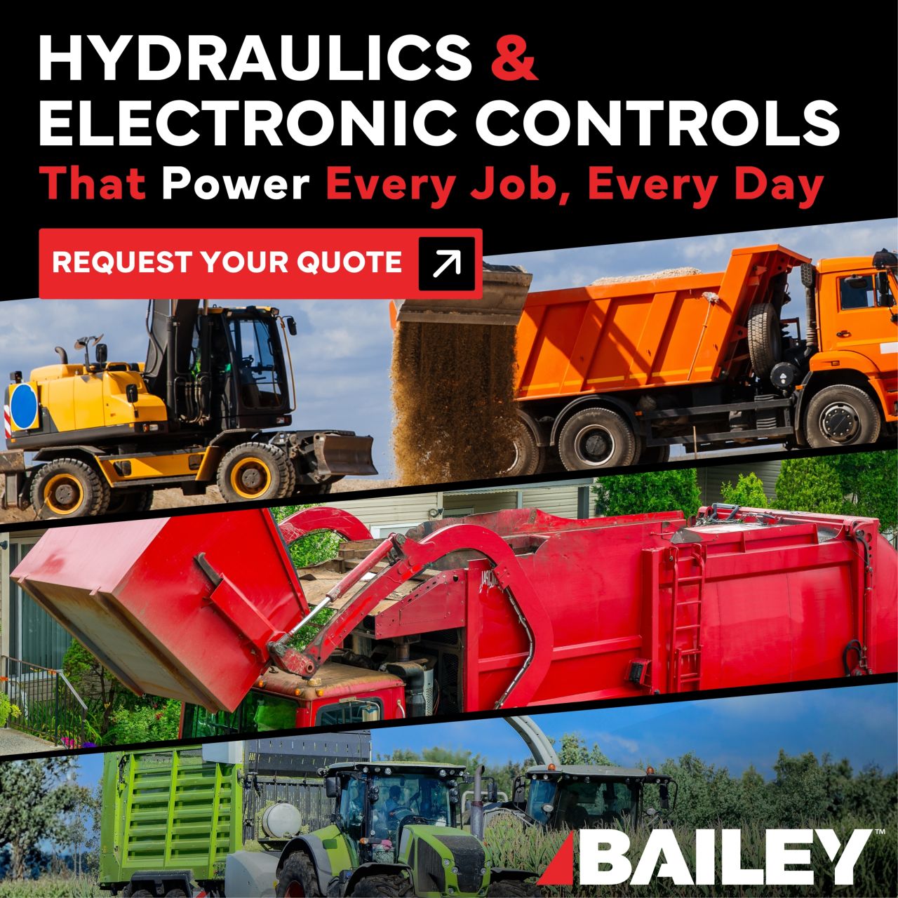 Bailey International ad