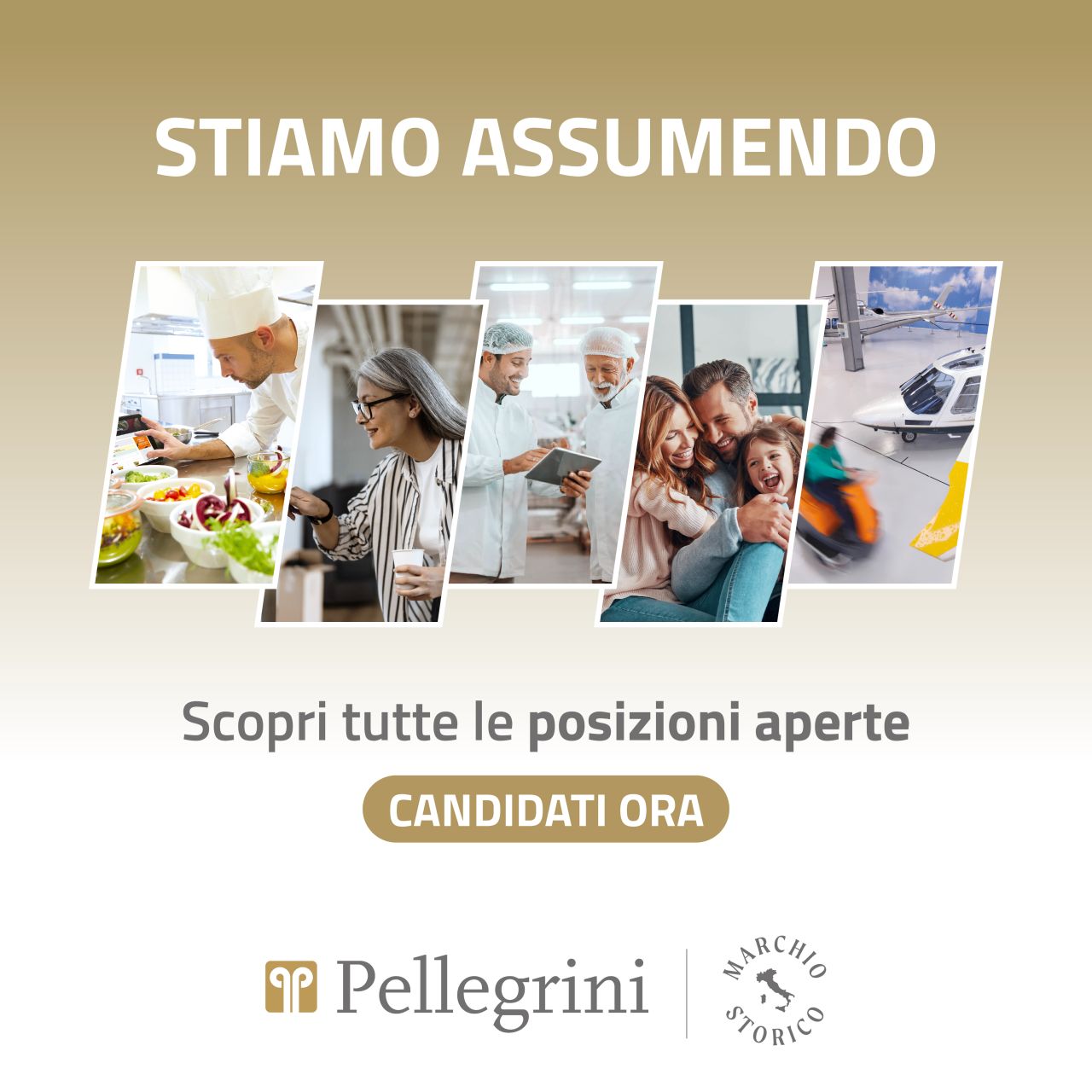 Pellegrini S.p.A. ad