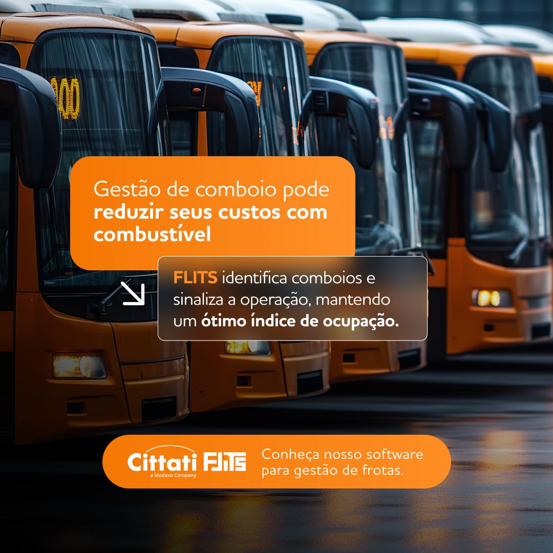 Cittati Tecnologia ad