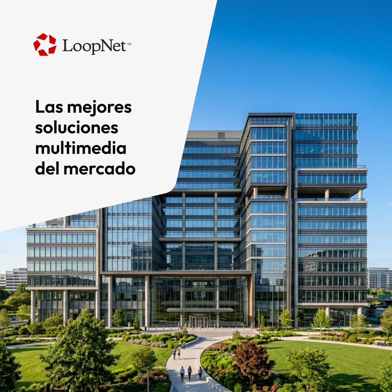 LoopNet ad