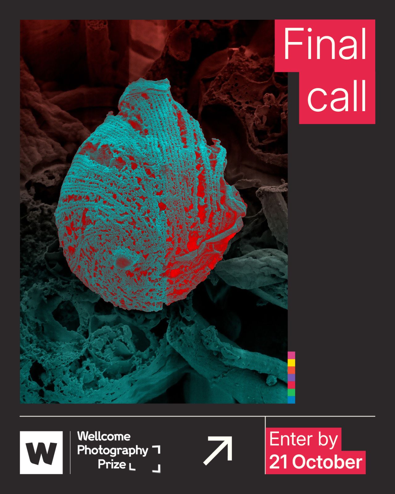 Wellcome Trust ad