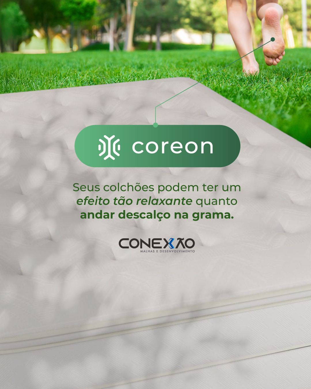 Conexão Malhas e Desenvolvimento ad