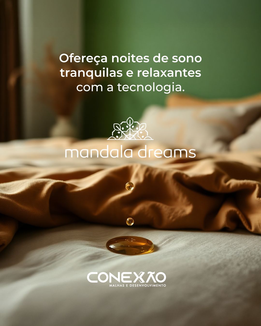 Conexão Malhas e Desenvolvimento ad