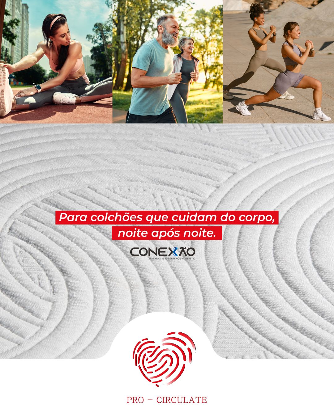Conexão Malhas e Desenvolvimento ad