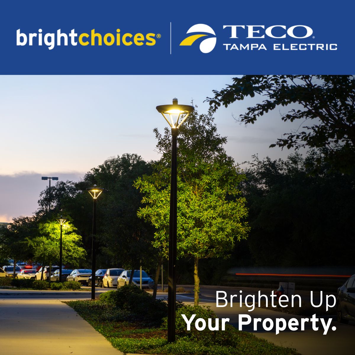 Tampa Electric ad