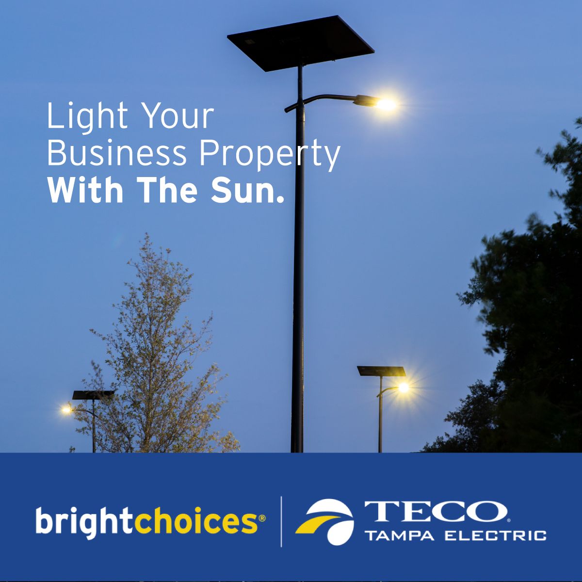 Tampa Electric ad