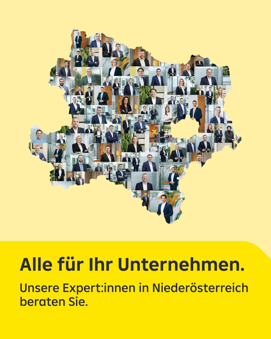 Raiffeisenlandesbank Niederösterreich-Wien AG ad